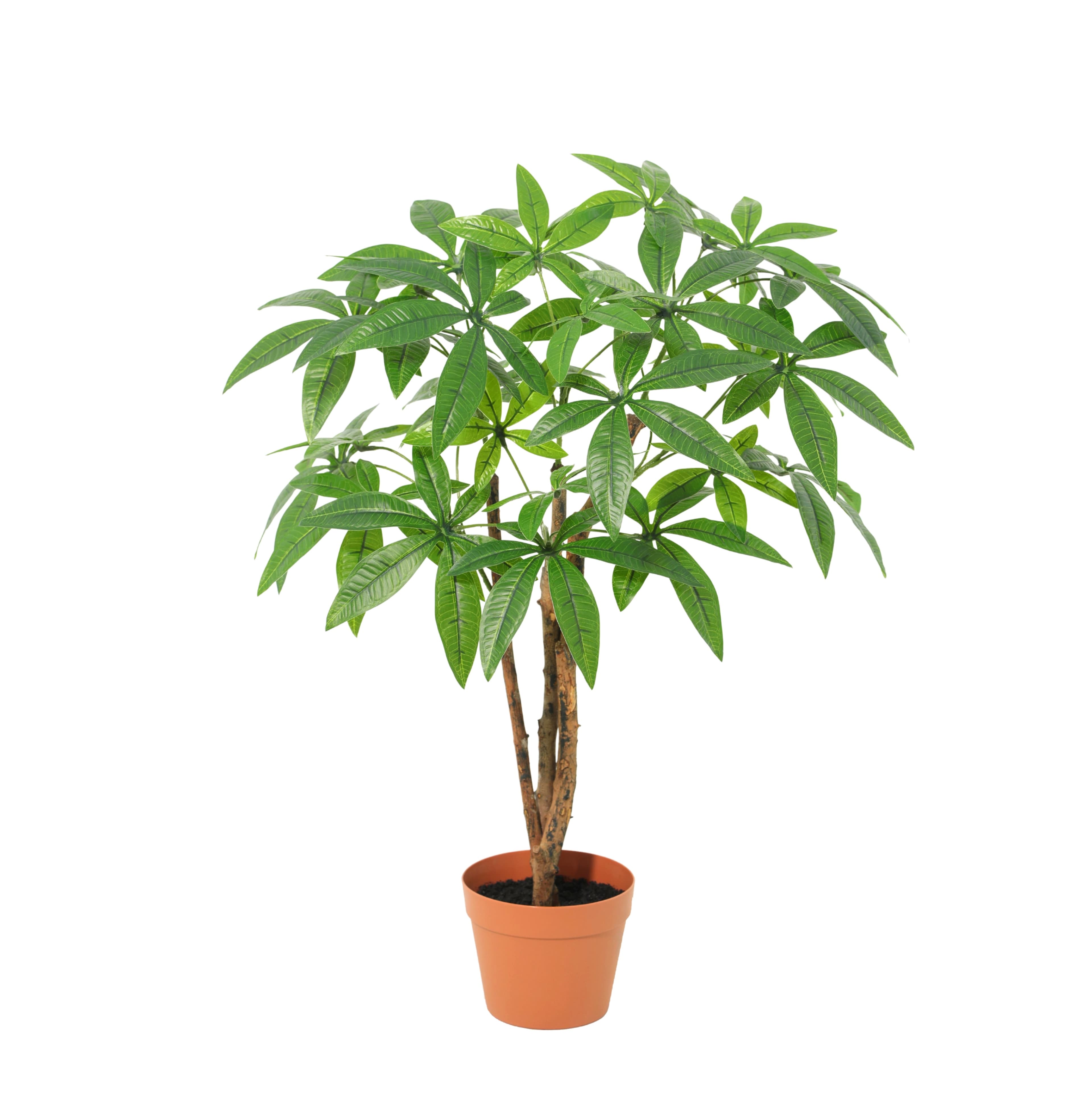 ARTIFICIAL Pachira Aquatica - 85cm