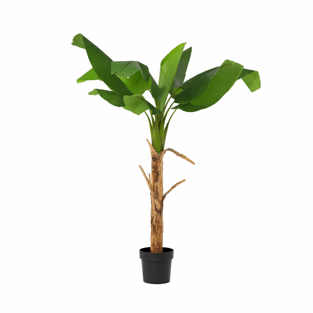 ARTIFICIAL Musa - 150cm