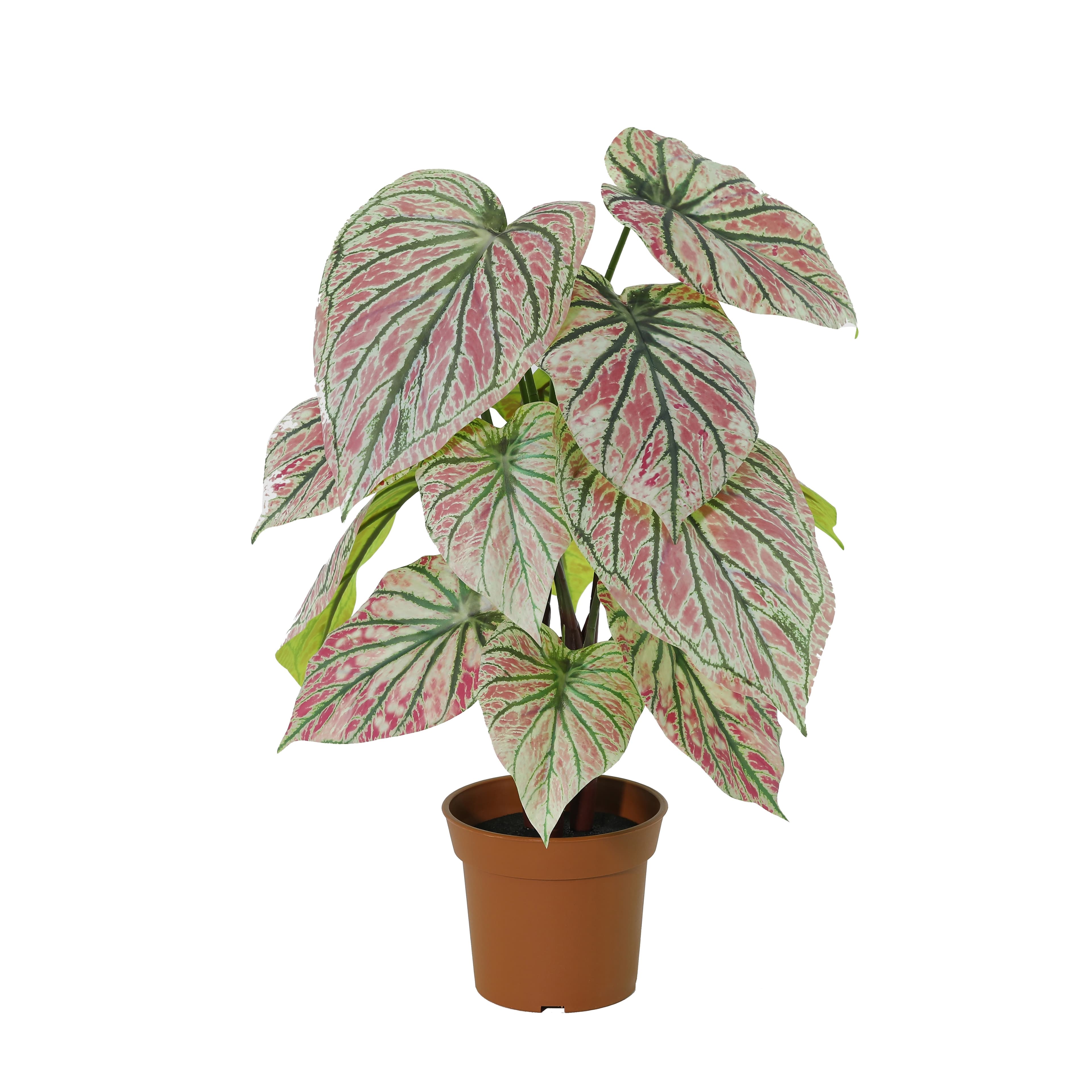 ARTIFICIAL Caladium 2 - 57cm