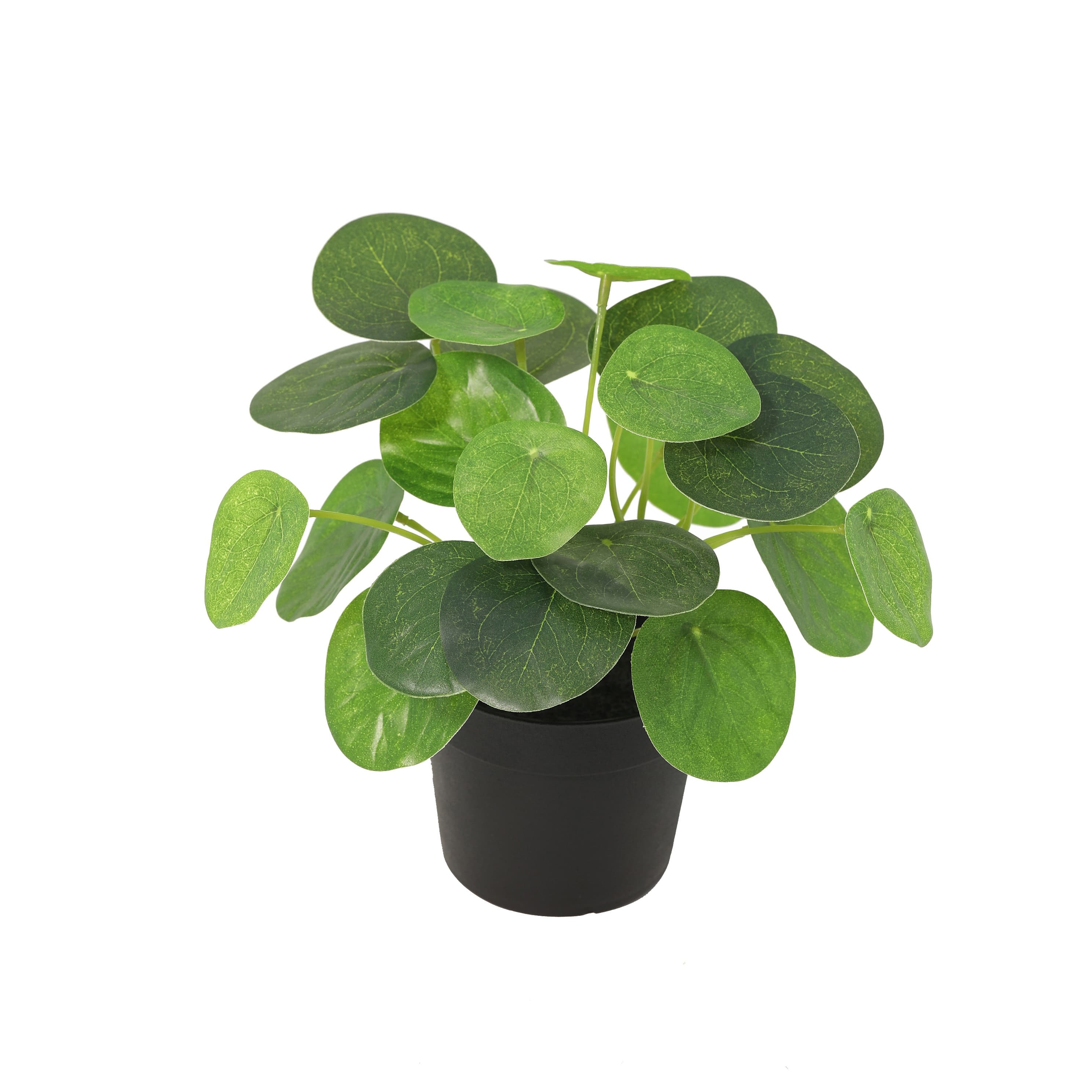 ARTIFICIAL Pilea Peperomioides