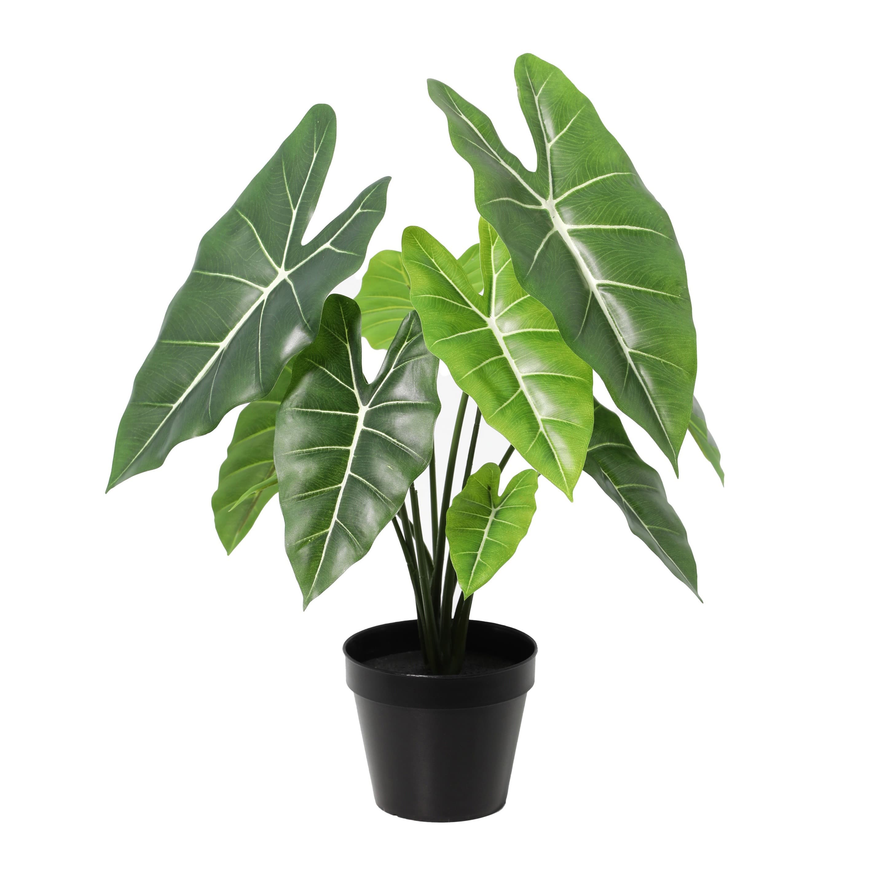ARTIFICIAL Alocasia - 42cm