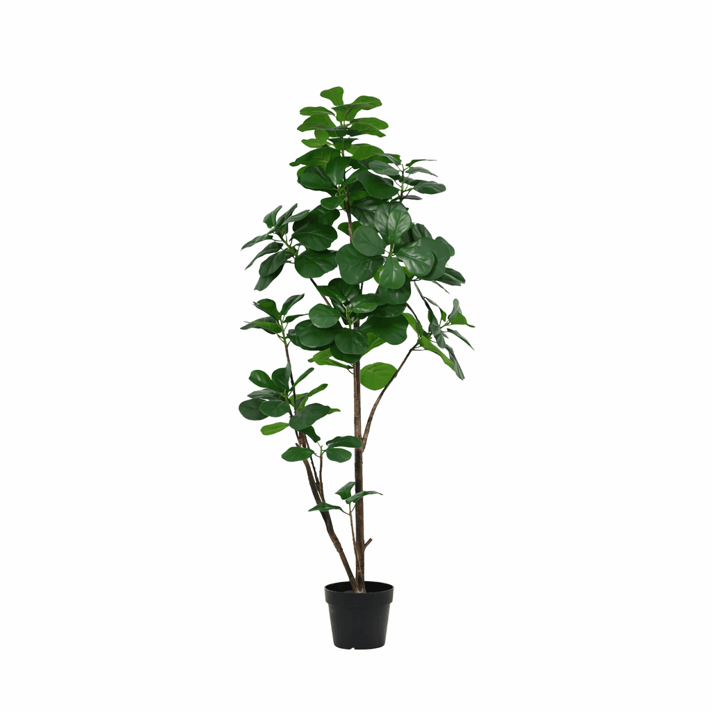 ARTIFICIAL Ficus Lyrata branched - 150cm