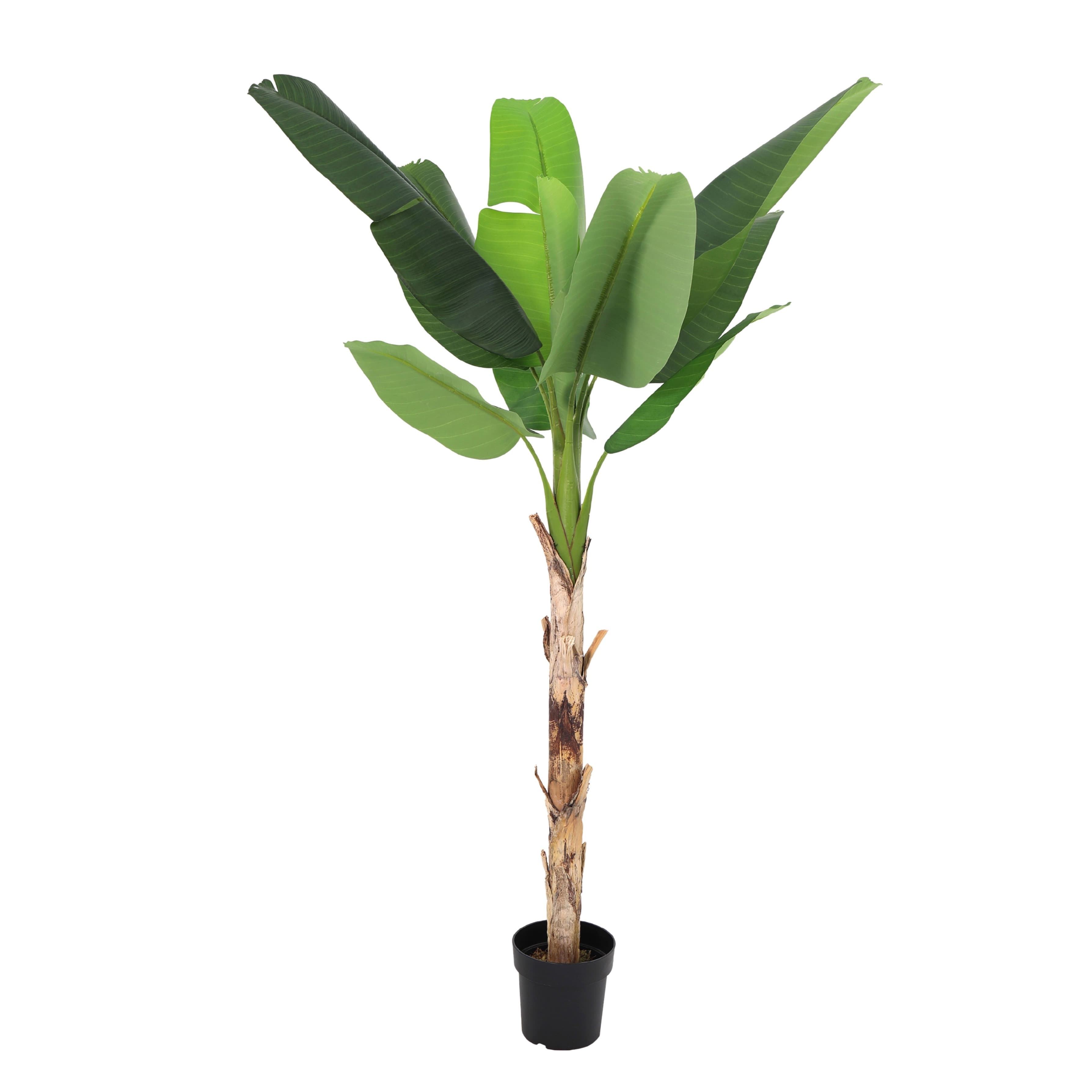 ARTIFICIAL Musa - 190cm