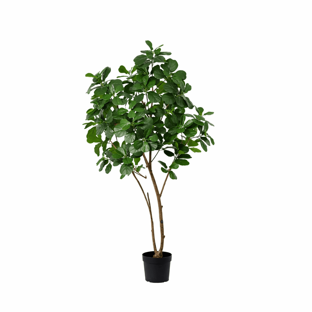 ARTIFICIAL Ficus Lyrata tree - 180cm