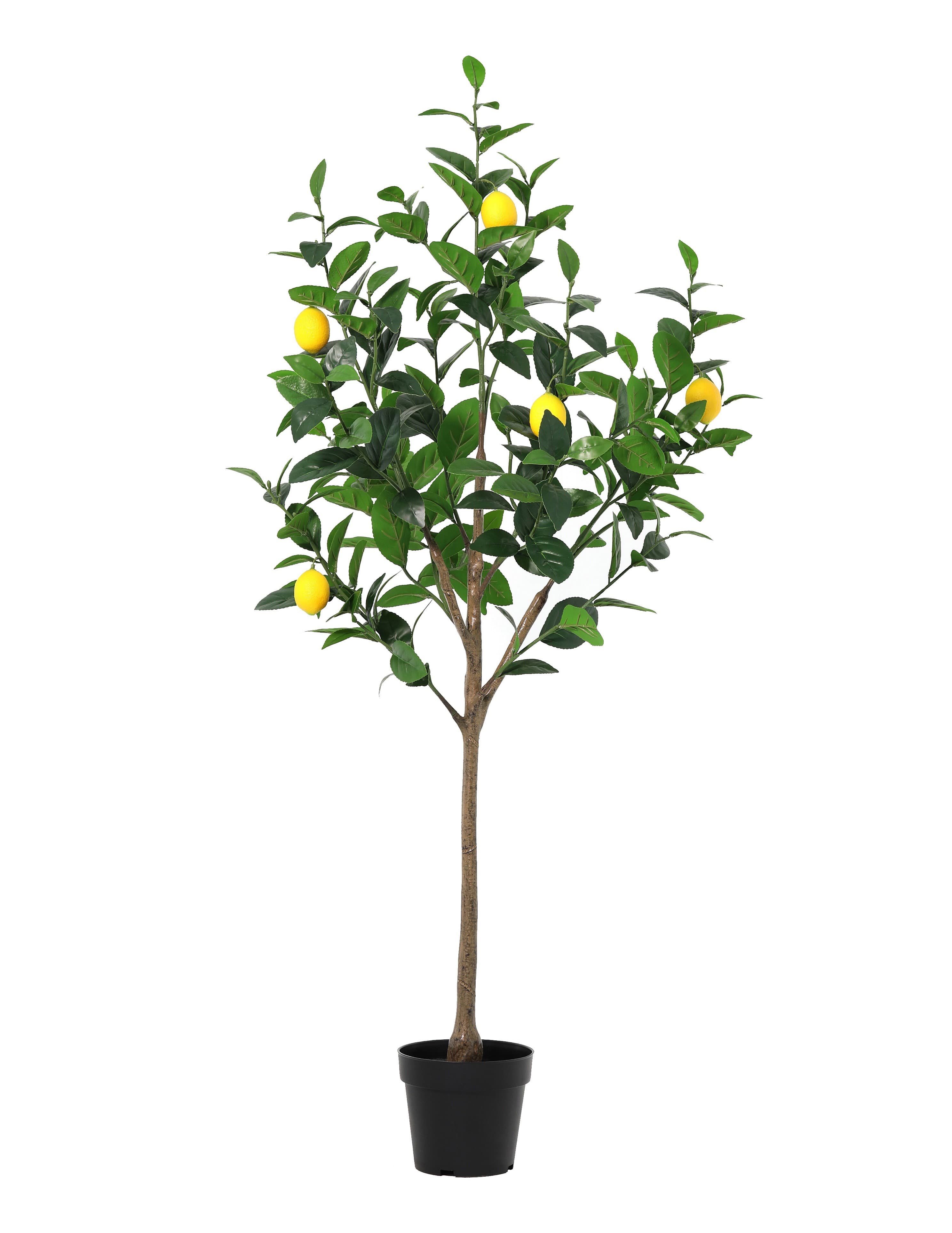 ARTIFICIAL Lemon tree - 150cm
