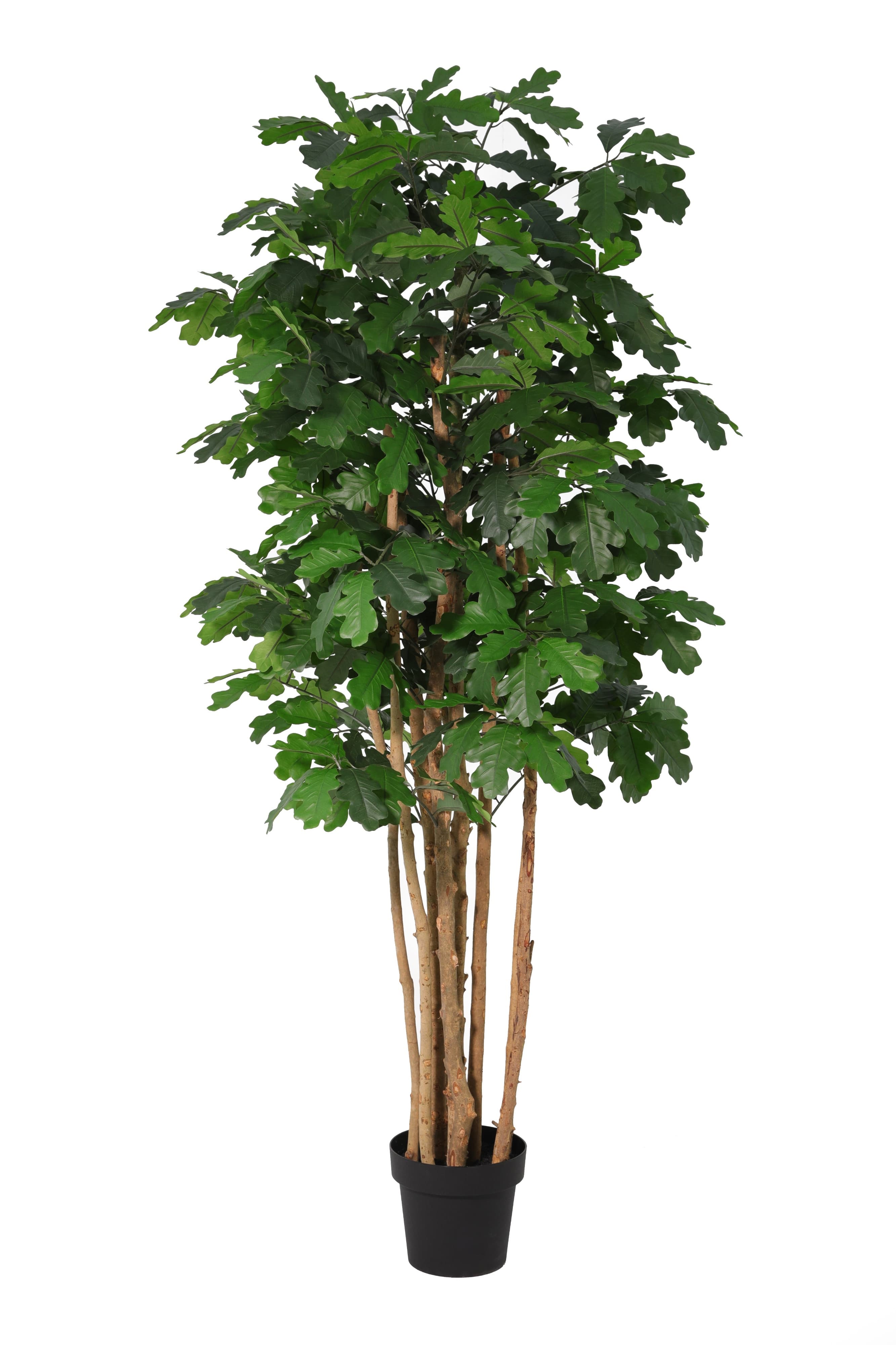 ARTIFICIAL Oak Tree - 170cm