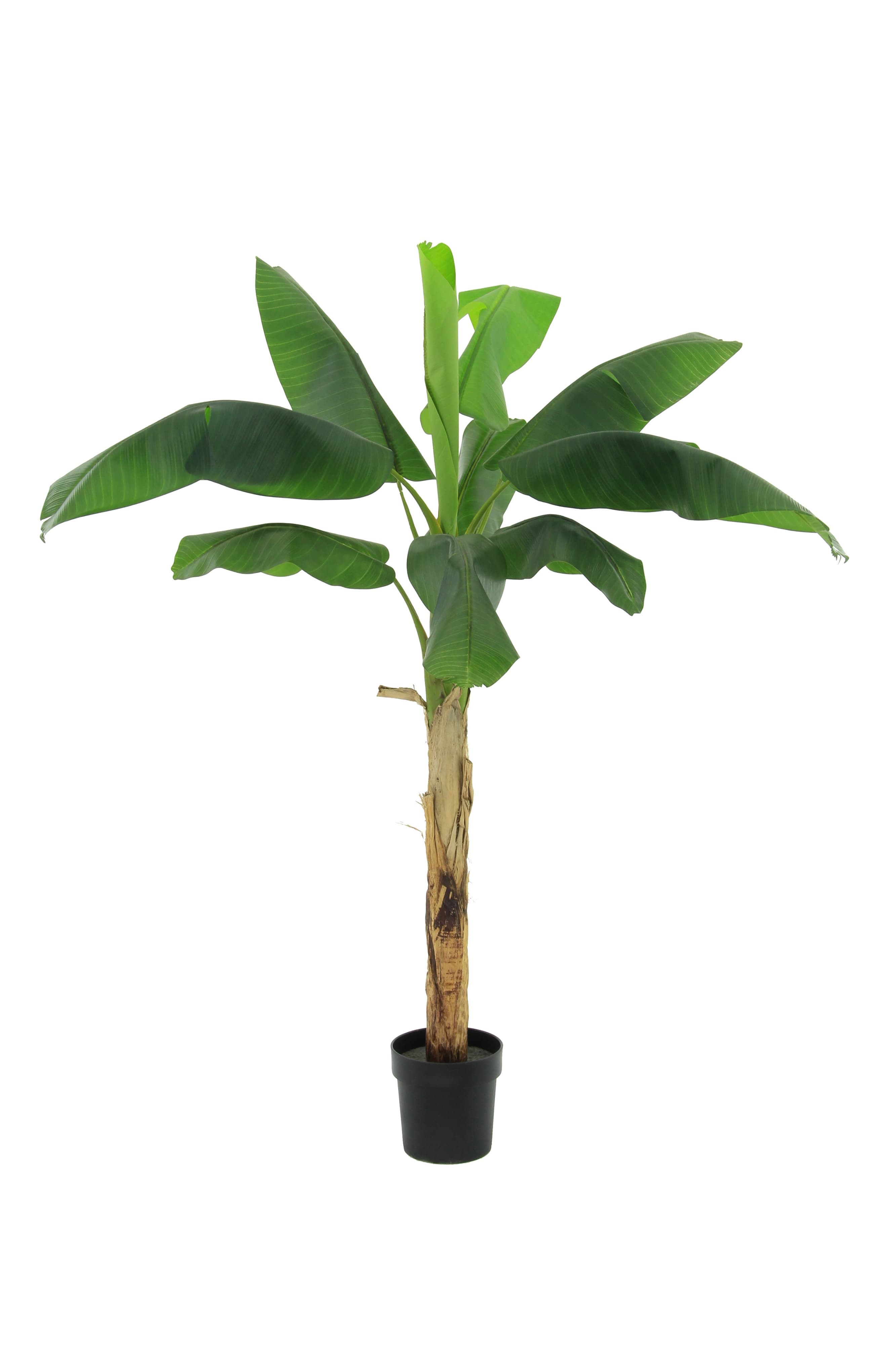 ARTIFICIAL Musa - 180cm