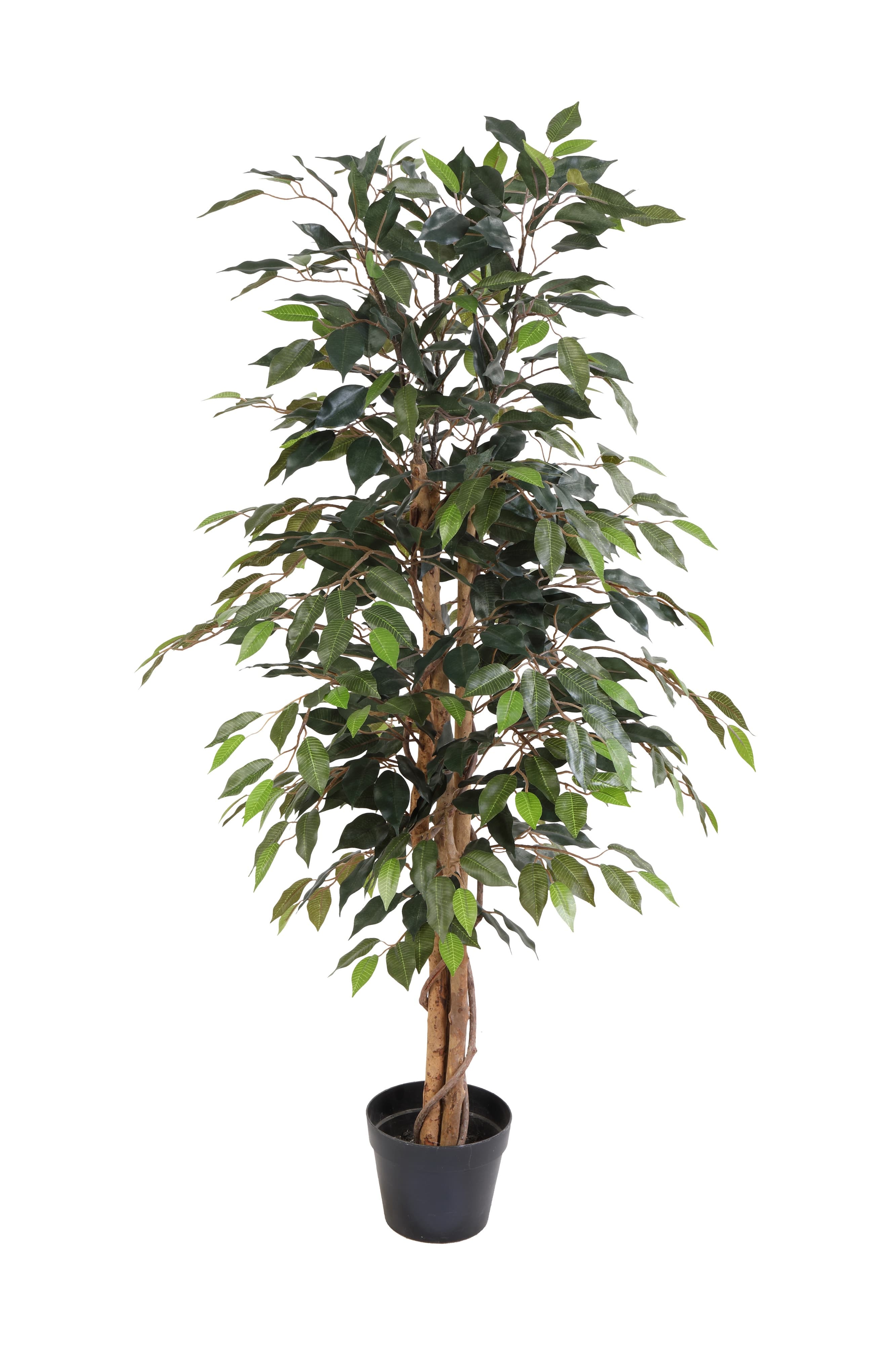 ARTIFICIAL Ficus Benjamina - 130cm
