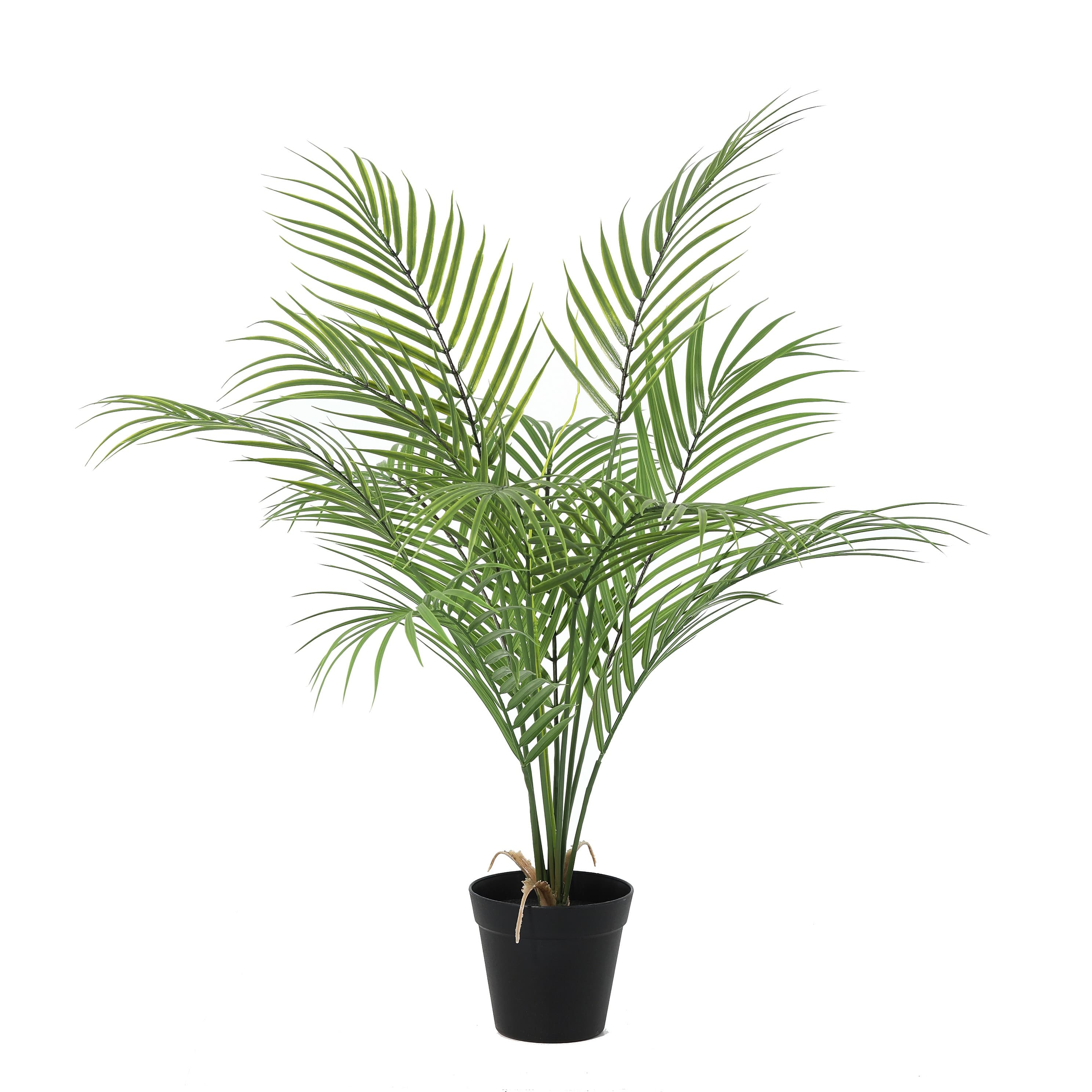 ARTIFICIAL Howea Forsteriana - 70cm