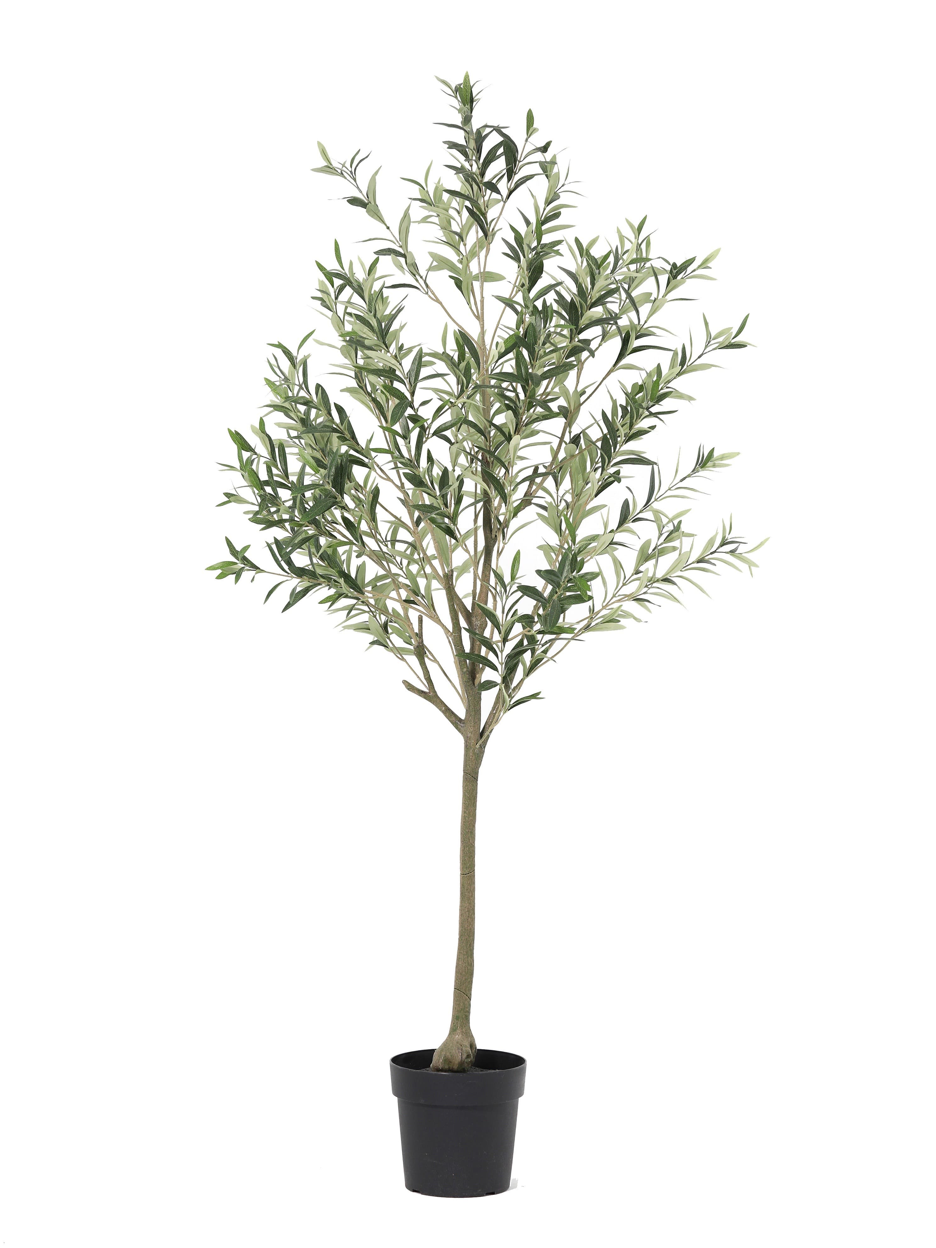 ARTIFICIAL Olea Europaea - 170cm
