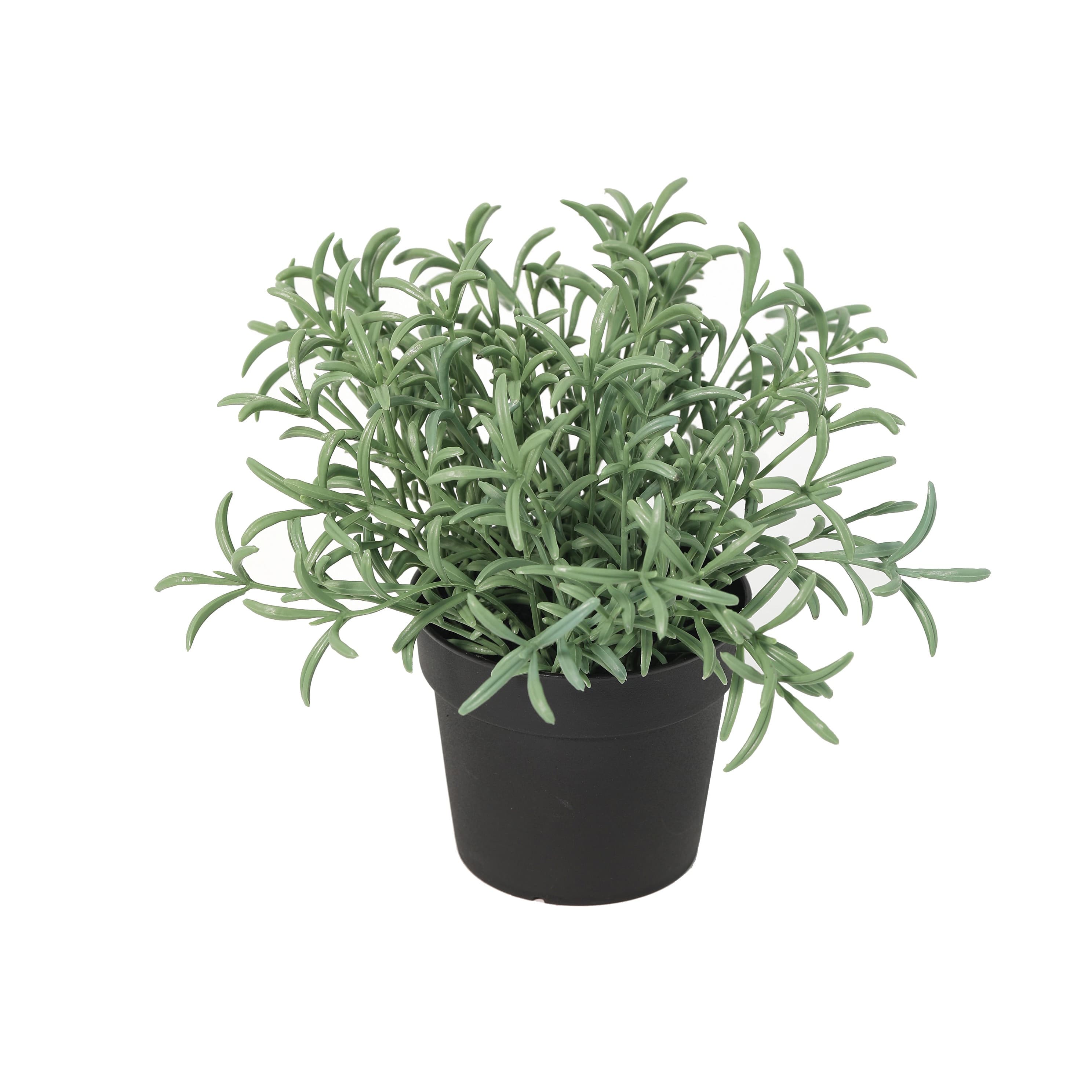 ARTIFICIAL Helichrysum Italicum - 19cm